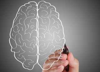 neuroprincipes in microlearning