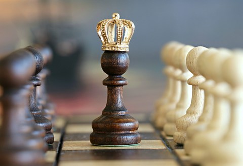 Queen Elizabeth duurzaam inzetbaar