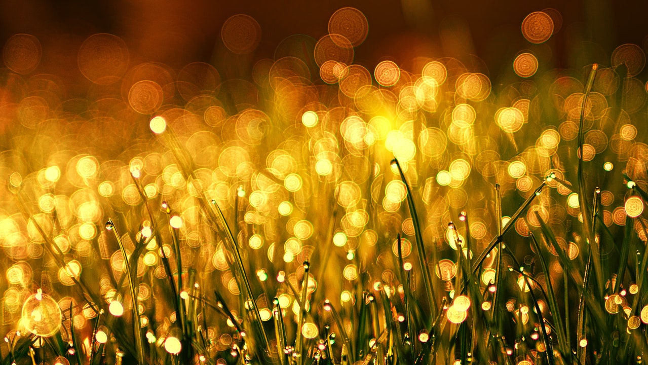 gouden basisregels ontwikkelen microlearnings